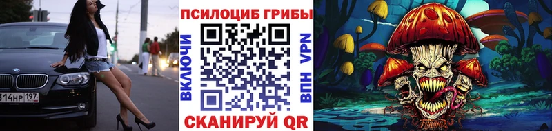 Псилоцибиновые грибы Psilocybine cubensis  Белоусово 